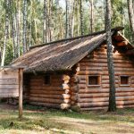 choisissez-un-hebergement-ecoresponsable-la-solution-cle-pour-reduire-votre-empreinte-carbone